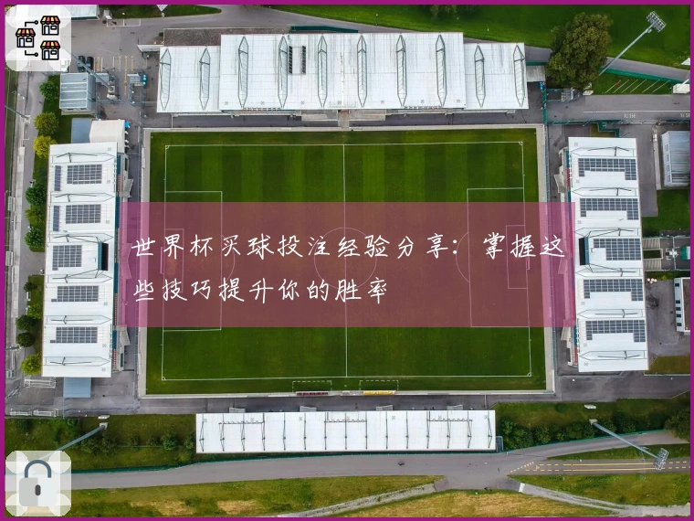 世界杯买球投注经验分享：掌握这些技巧提升你的胜率