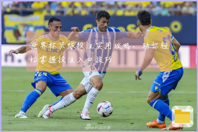 世界杯买球投注实用攻略，助你轻松掌握投注入口技巧