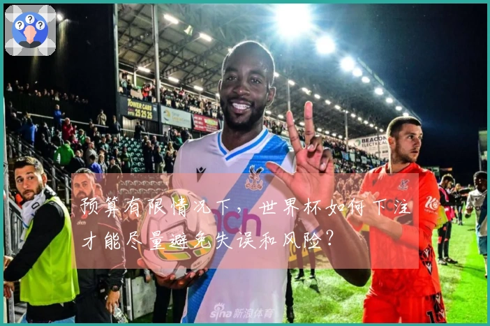 预算有限情况下，世界杯如何下注才能尽量避免失误和风险？