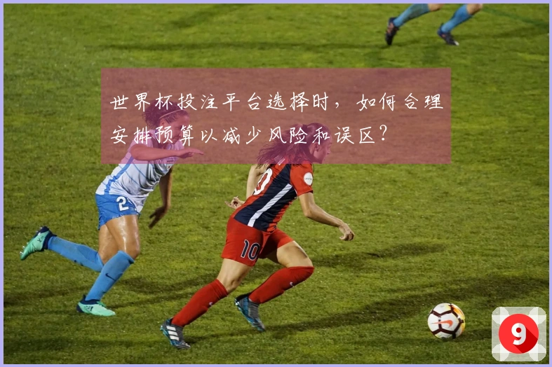 世界杯投注平台选择时，如何合理安排预算以减少风险和误区？