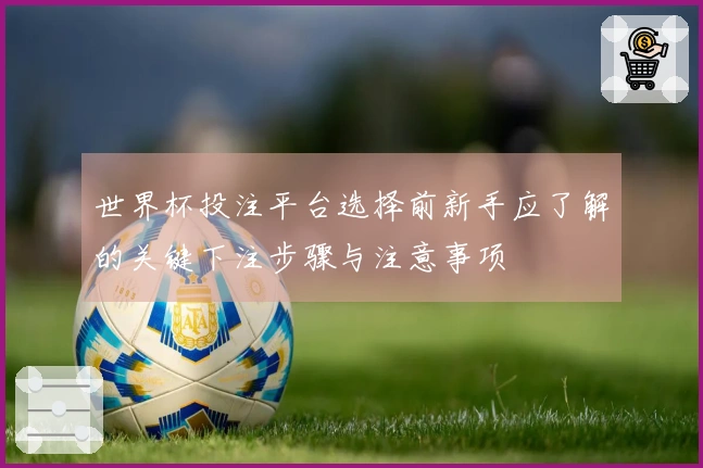 世界杯投注平台选择前新手应了解的关键下注步骤与注意事项
