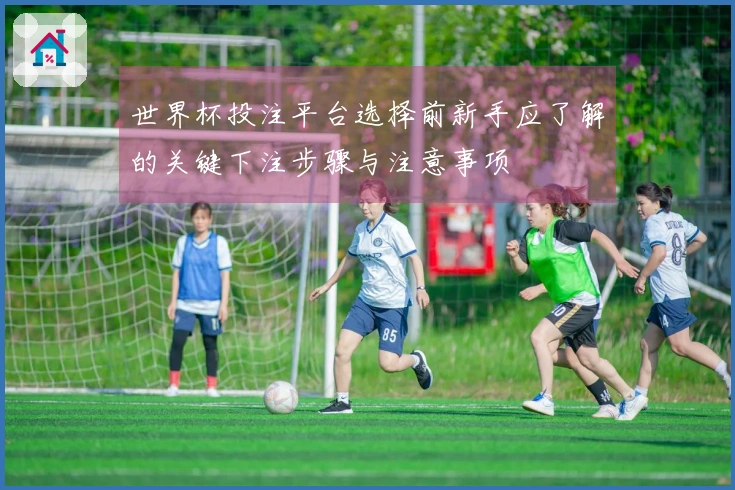 世界杯投注平台选择前新手应了解的关键下注步骤与注意事项