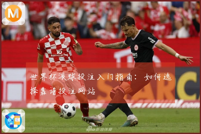 世界杯滚球投注入门指南：如何选择靠谱投注网站