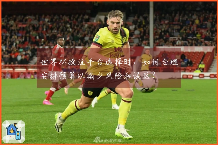 世界杯投注平台选择时，如何合理安排预算以减少风险和误区？