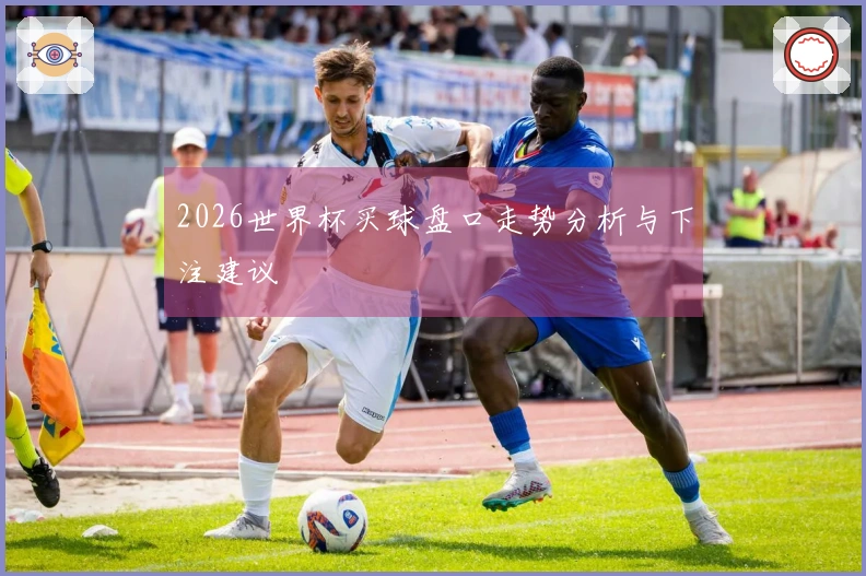 2026世界杯买球盘口走势分析与下注建议