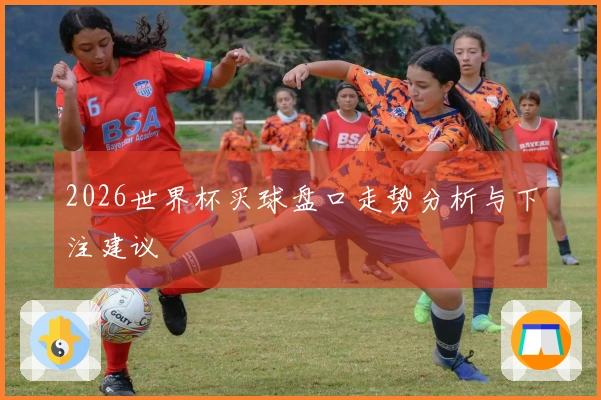 2026世界杯买球盘口走势分析与下注建议